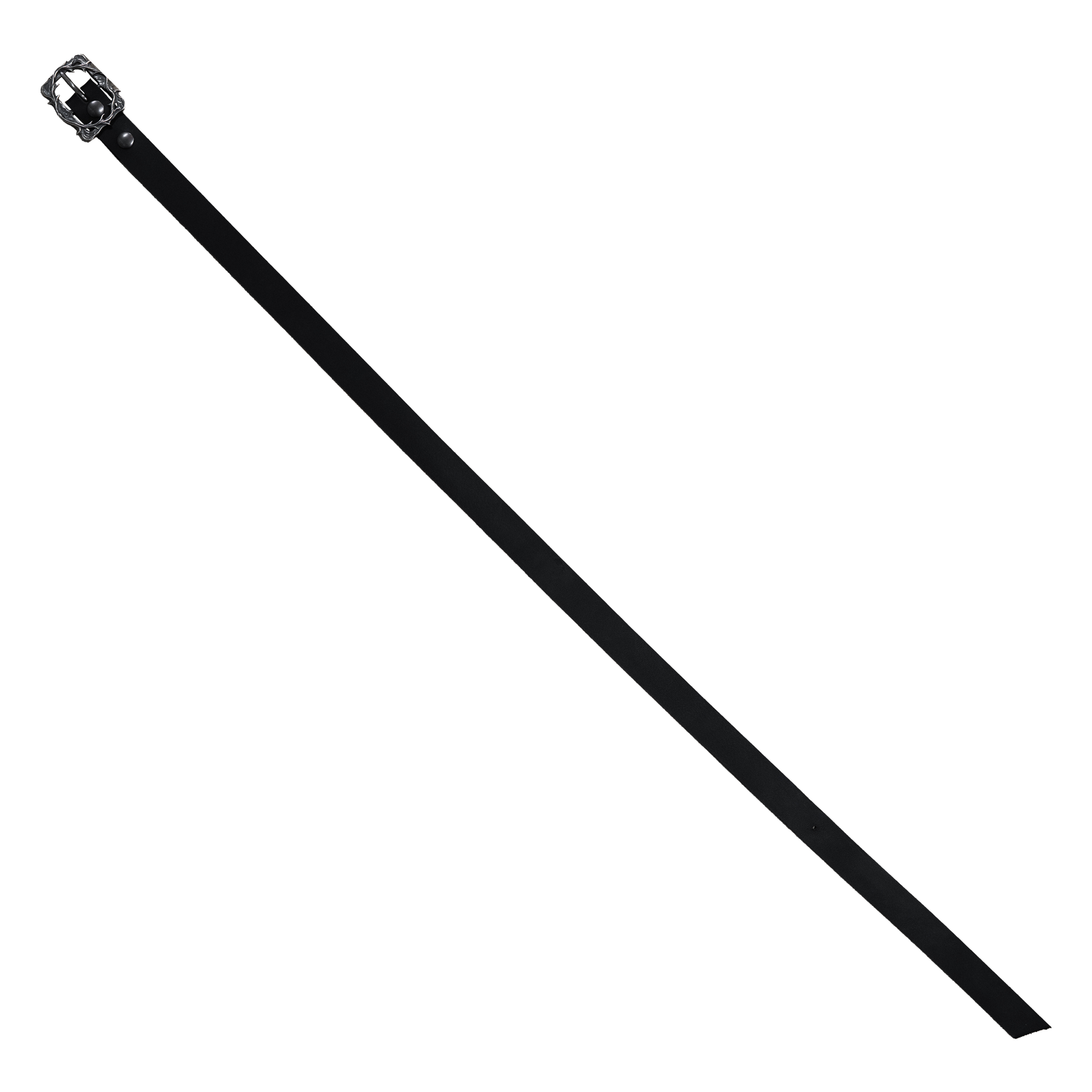 Cathartica Belt